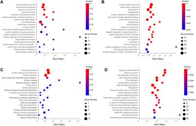 Integrative Analysis of RNA Expression and Regulatory Networks in Mice Liver Infected by Echinococcus multilocularis